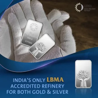 Instagram-img-PAMP-silver